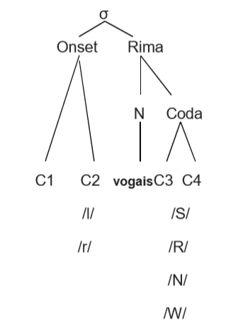 Configuração de cada elemento componente da sílaba em português