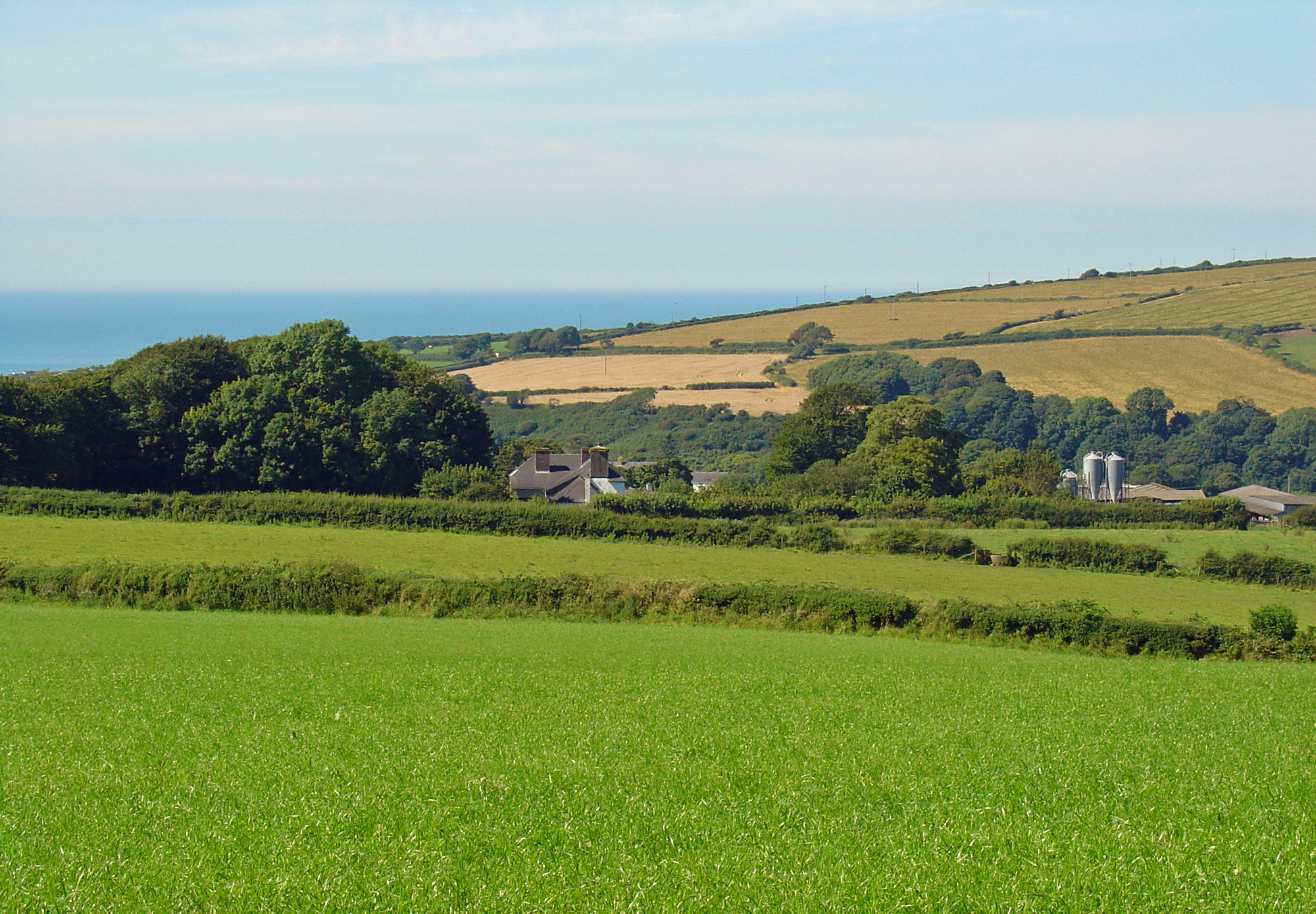 Commons and common fields