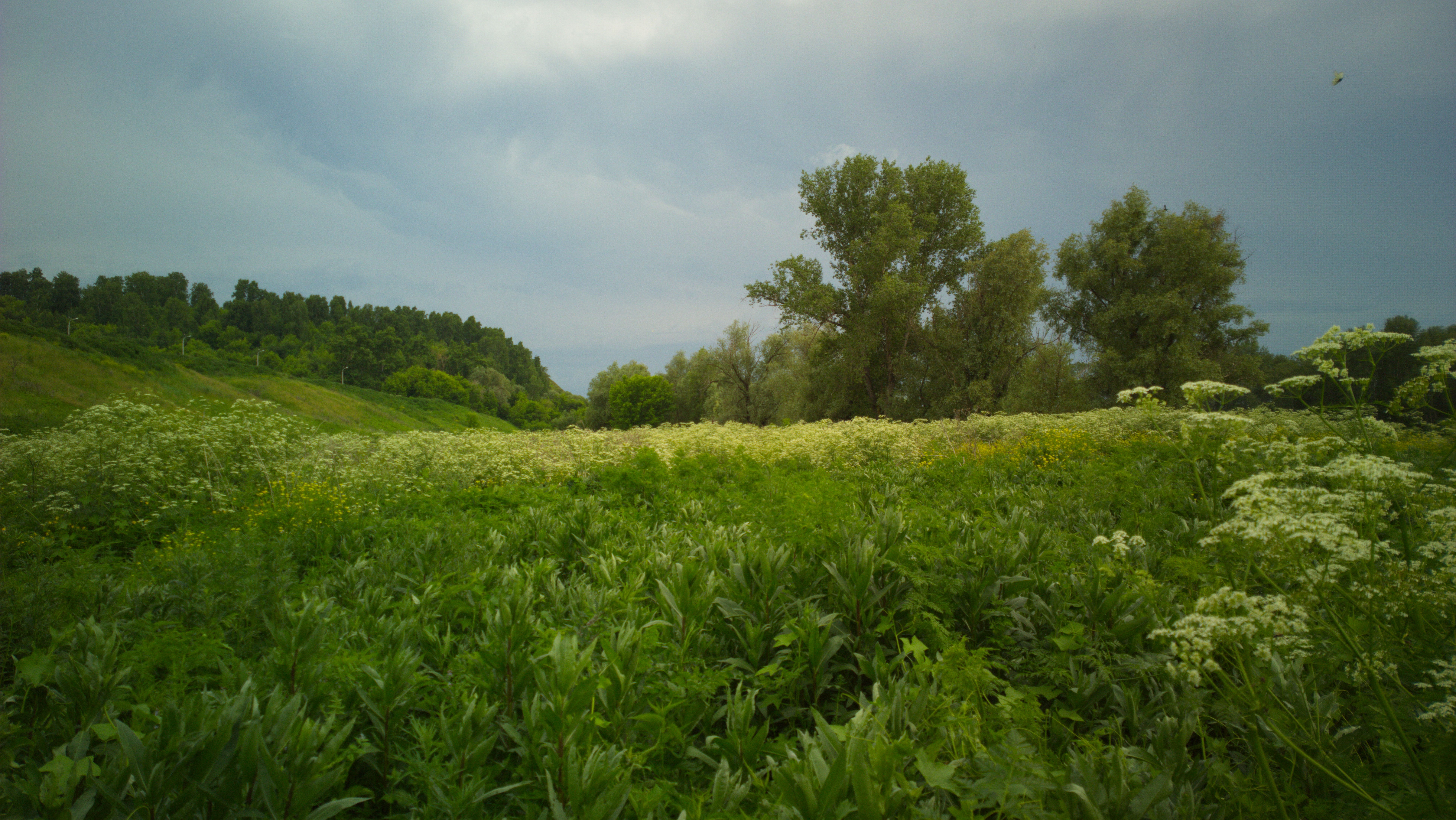 Красногорский Край Фото