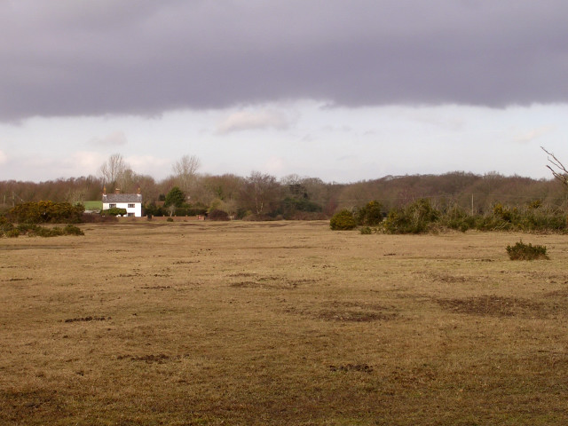 File:Lawn on Janesmoor Plain, New Forest - geograph.org.uk - 123548.jpg