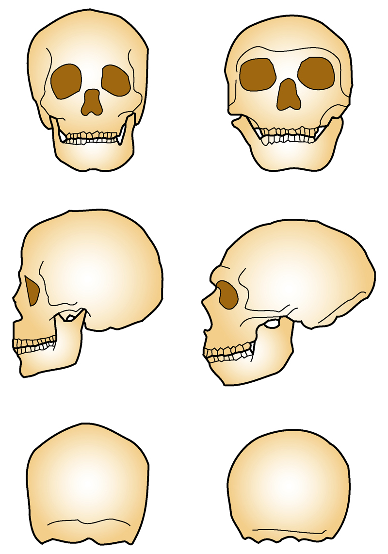 La clava dell'homo identicus – Esercizi di vita desta