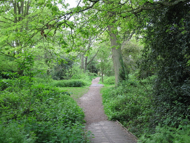 File:Path from Holt Copse - geograph.org.uk - 1288694.jpg