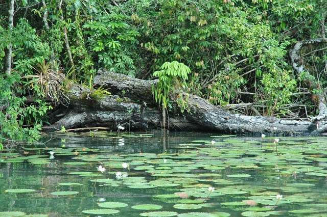 Rio dulce, guatemala places to visit in guatemala