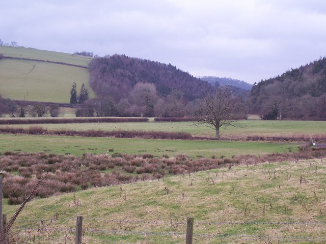 File:River Exe flood plain - geograph.org.uk - 106993.jpg