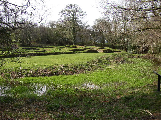 File:The ruins of Penhallam Moated Manor House - geograph.org.uk - 23988.jpg
