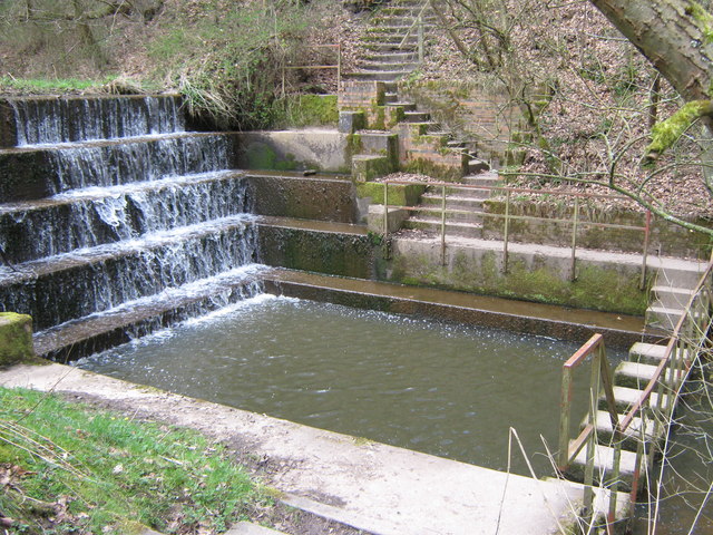 Upper weir and "stepping stones", Deep Hayes Country Park - geograph.org.uk - 1230102