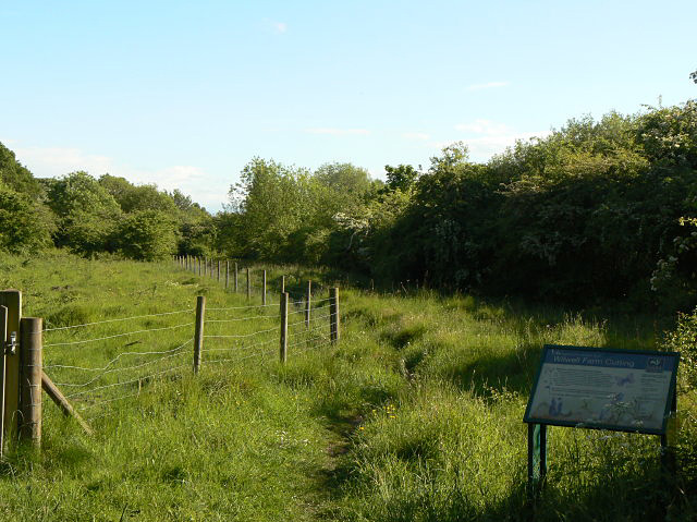 File:Wilwell Farm Cutting Nature Reserve - geograph.org.uk - 1323382.jpg