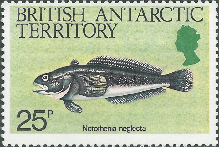 File:46790 notothenia-neglecta stamp.jpg