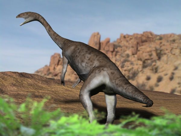 Anchisaurus_NT.jpg