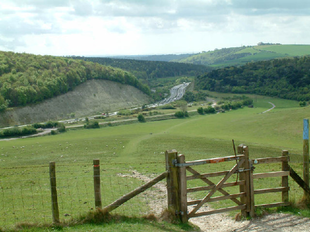 Butser Hill and Hillhampton Bottom - geograph.org.uk - 8088