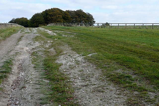 File:Byway and Pit Down - geograph.org.uk - 1548715.jpg