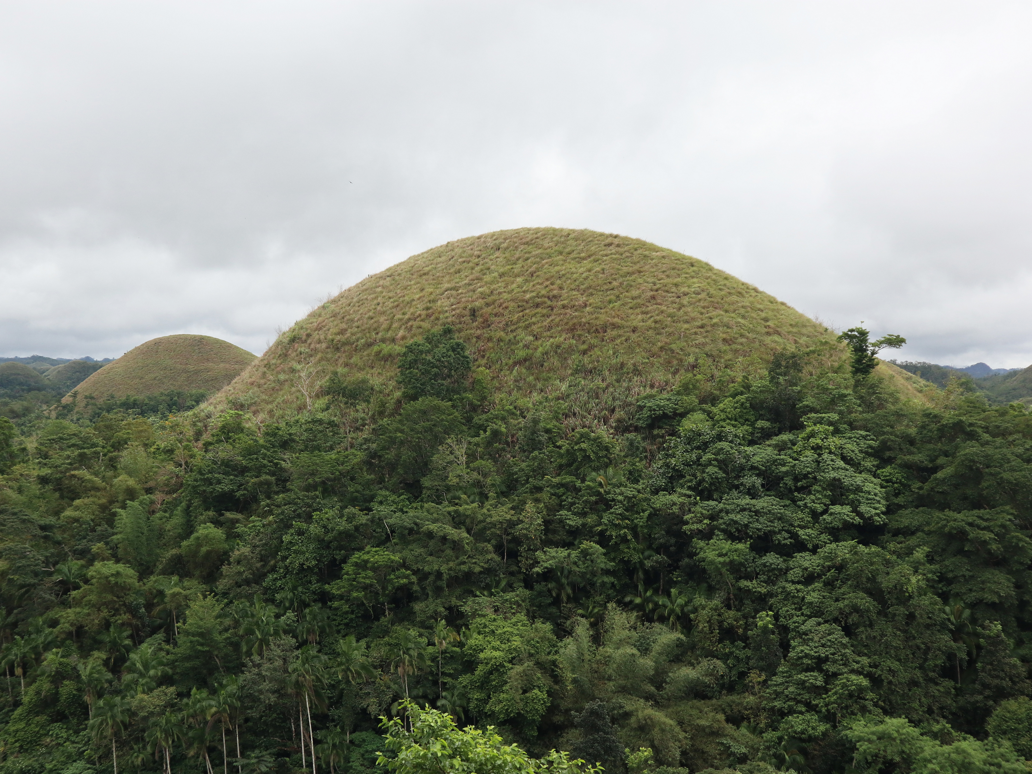 Chocolate Hills - Wikipedia