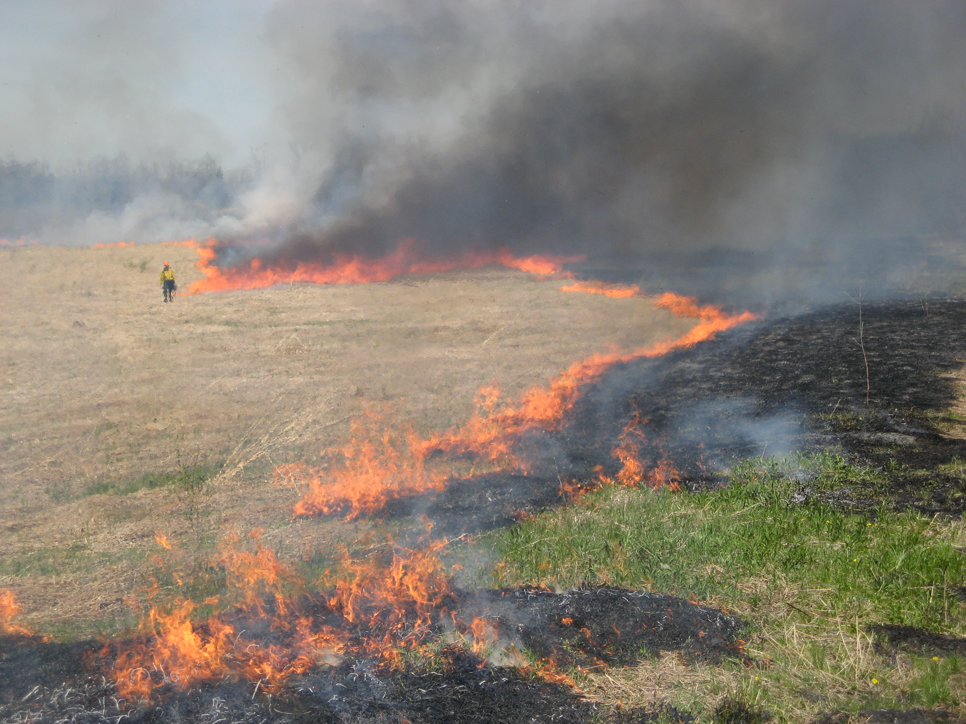 Controlled burn