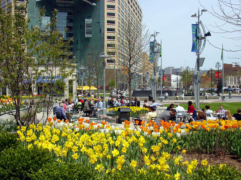 File:Daffodils in Downtown Detroit.jpg