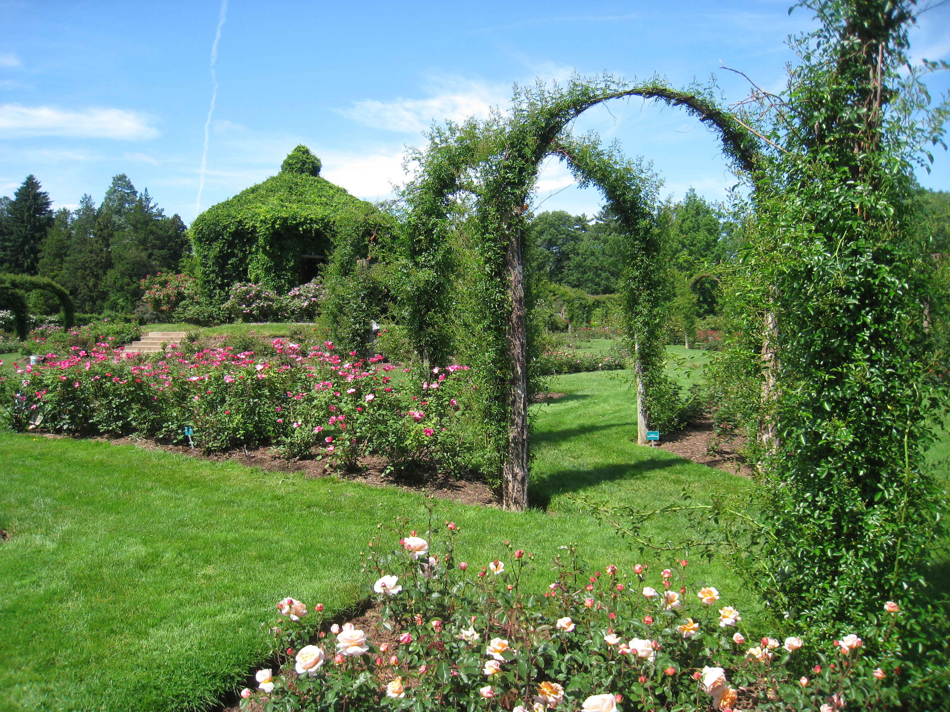 File Elizabeth Park Hartford Ct Rose Garden 4 Jpg Wikimedia