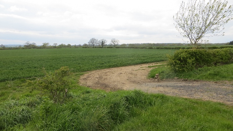 File:Field, Felton - geograph.org.uk - 4578350.jpg