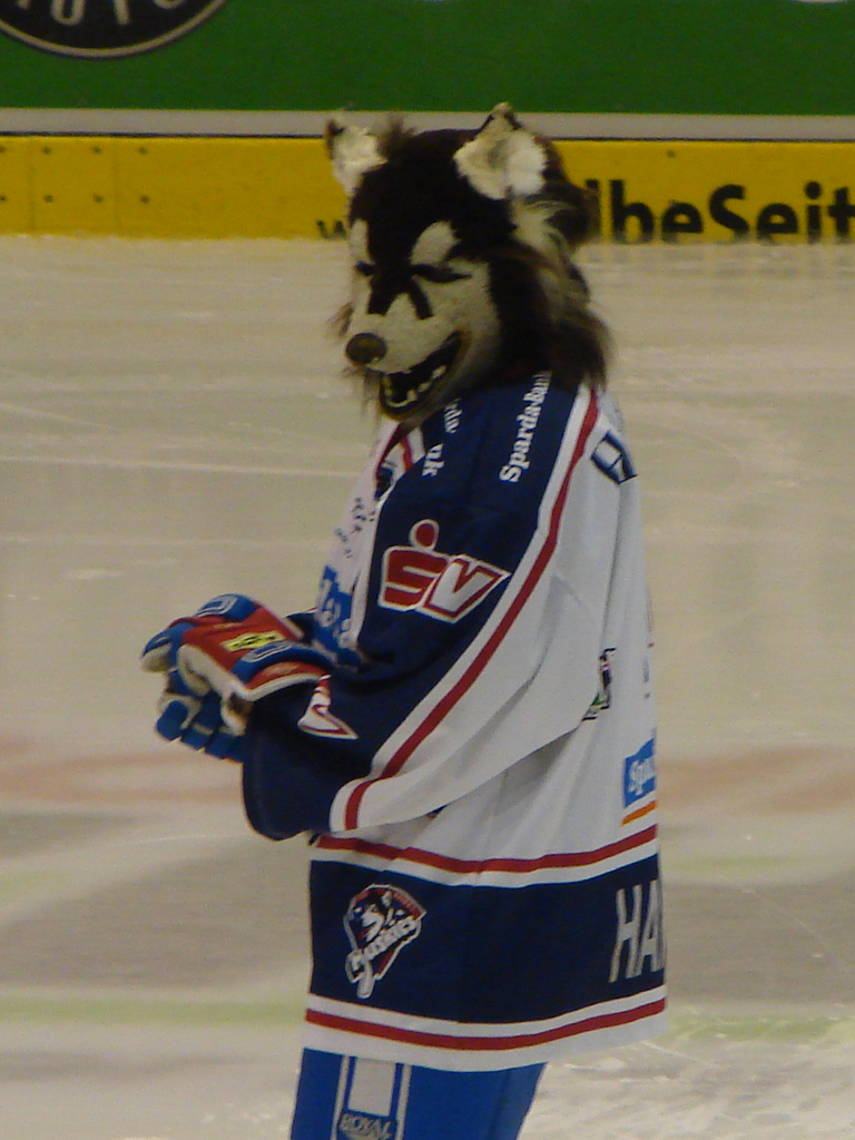 Kassel Huskies