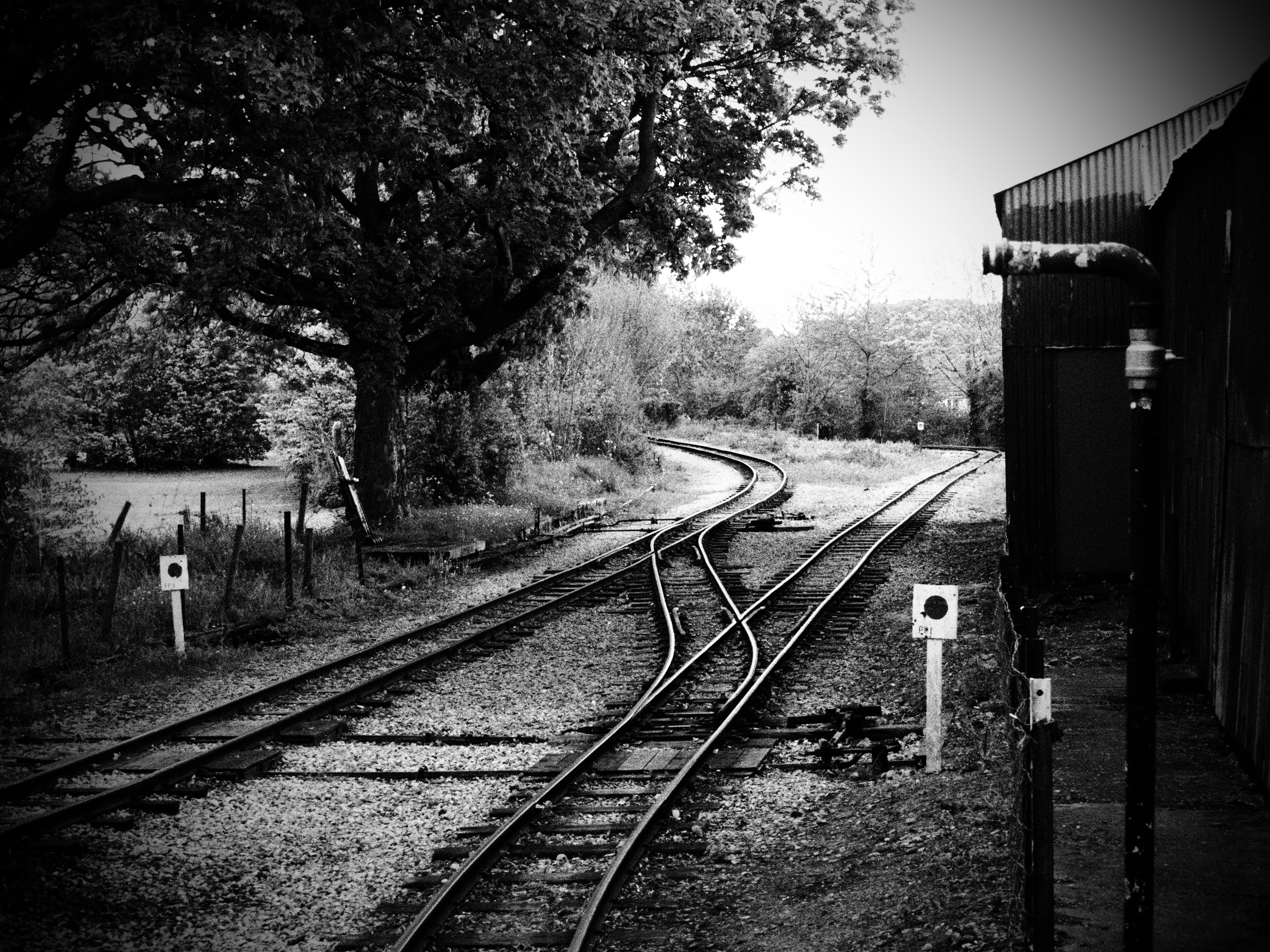 Steam railway 2015 фото 28