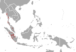 Malayan Tapir area.png