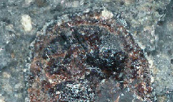 File:Mineraly.sk - granat.jpg