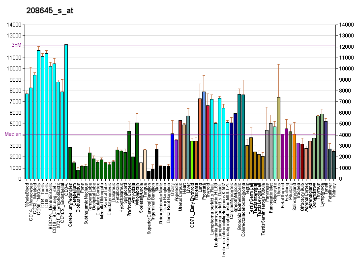 File:PBB GE RPS14 208645 s at fs.png