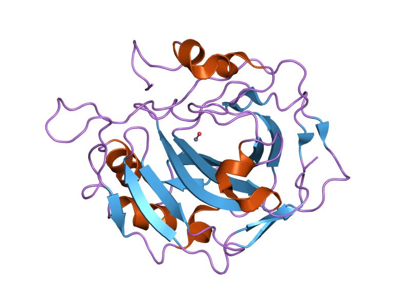 File:PDB 1fqm EBI.jpg