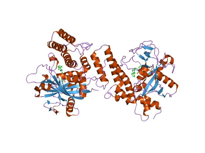 Парп 1. PDB polymerase. Poly(ADP-ribosyl)ation. PARP logo PNG.
