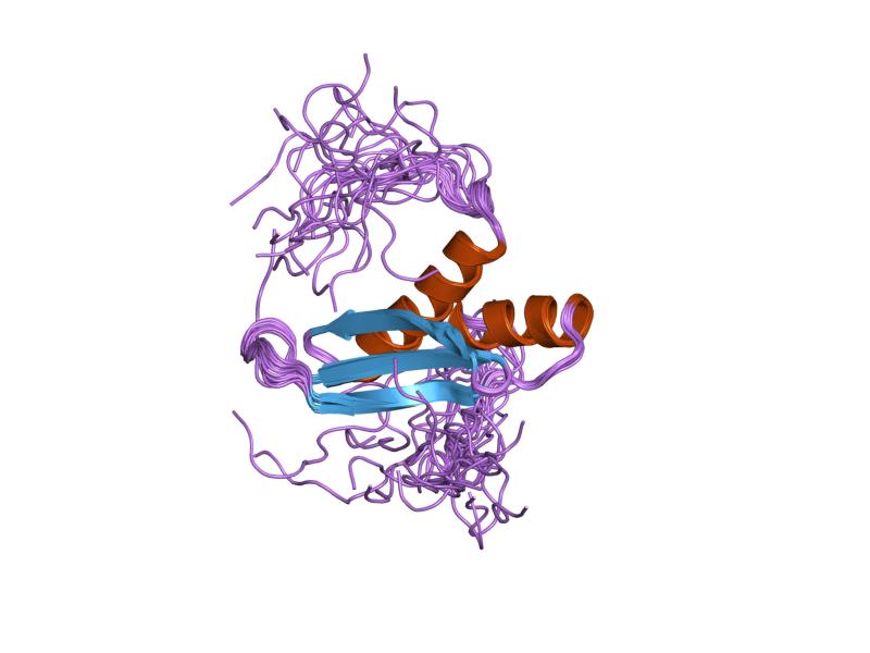 File:PDB 1x47 EBI.jpg