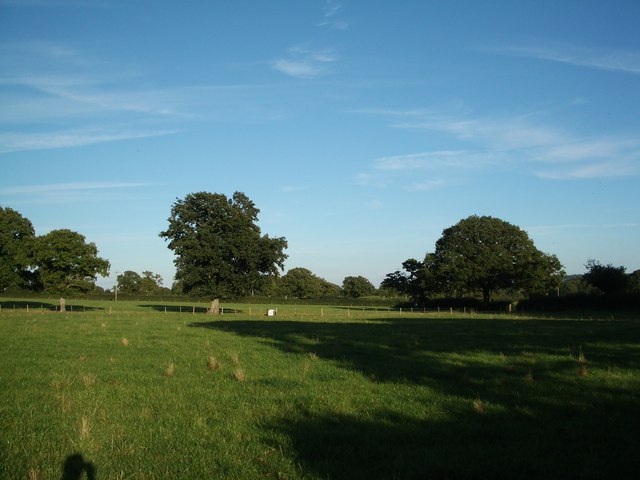 File:Pastureland and shadows, early autumn evening - geograph.org.uk - 565070.jpg
