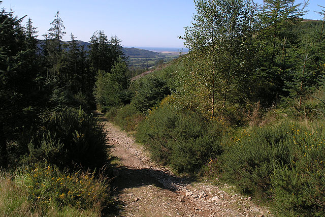 Path by Irton Pike - geograph.org.uk - 1252348