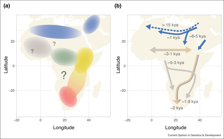 File:Pre-Neolithic and Neolithic migration events in Africa (excluding Basal-West-Eurasian geneflow during the Paleolithic).jpg