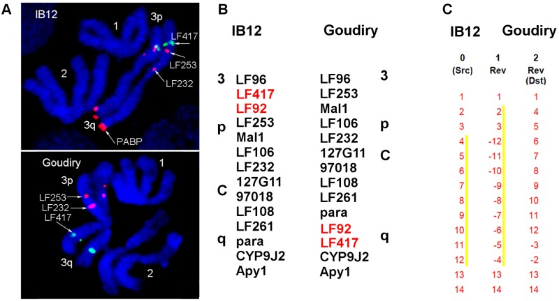 File:Reproductive-Incompatibility-Involving-Senegalese-Aedes-aegypti-(L)-Is-Associated-with-Chromosome-pntd.0004626.g009.jpg