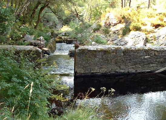 File:Sluice at Rogie Falls - geograph.org.uk - 1716.jpg