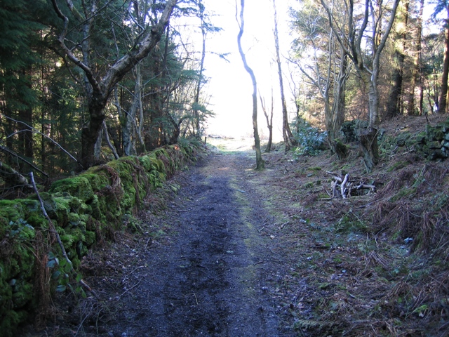 File:Stone Wall and Path - geograph.org.uk - 340104.jpg