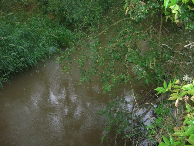 File:The River Derwent - geograph.org.uk - 1401428.jpg