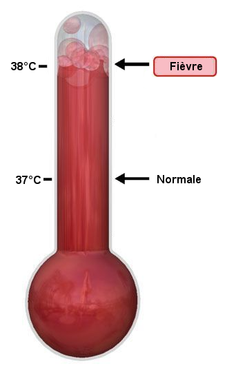 File:Thermometre fievre.png