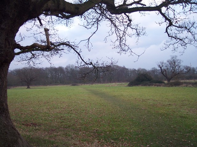 St Wulstan's Local Nature Reserve