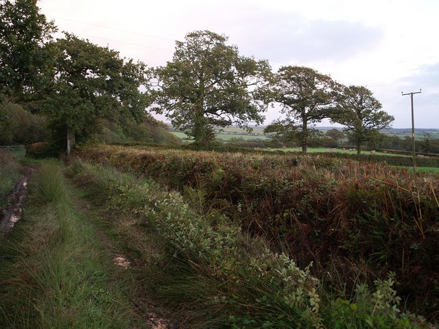 File:Track near Maire - geograph.org.uk - 565963.jpg