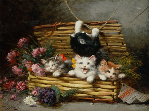 File:Un panier plein de chats.jpg