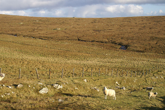 File:Upper reaches of the Burn of Feal, Fetlar - geograph.org.uk - 1028328.jpg