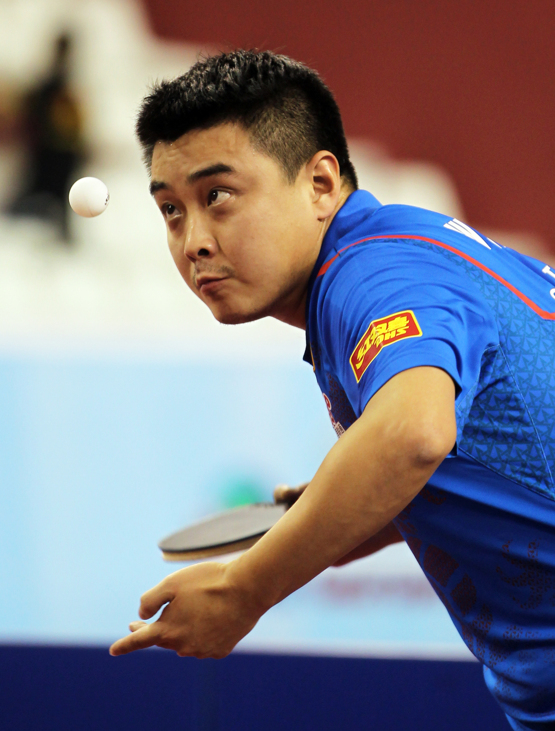 Wang Hao Table Tennis Born 19 Wikipedia