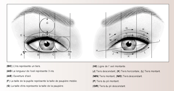 Yeux-tech.jpg