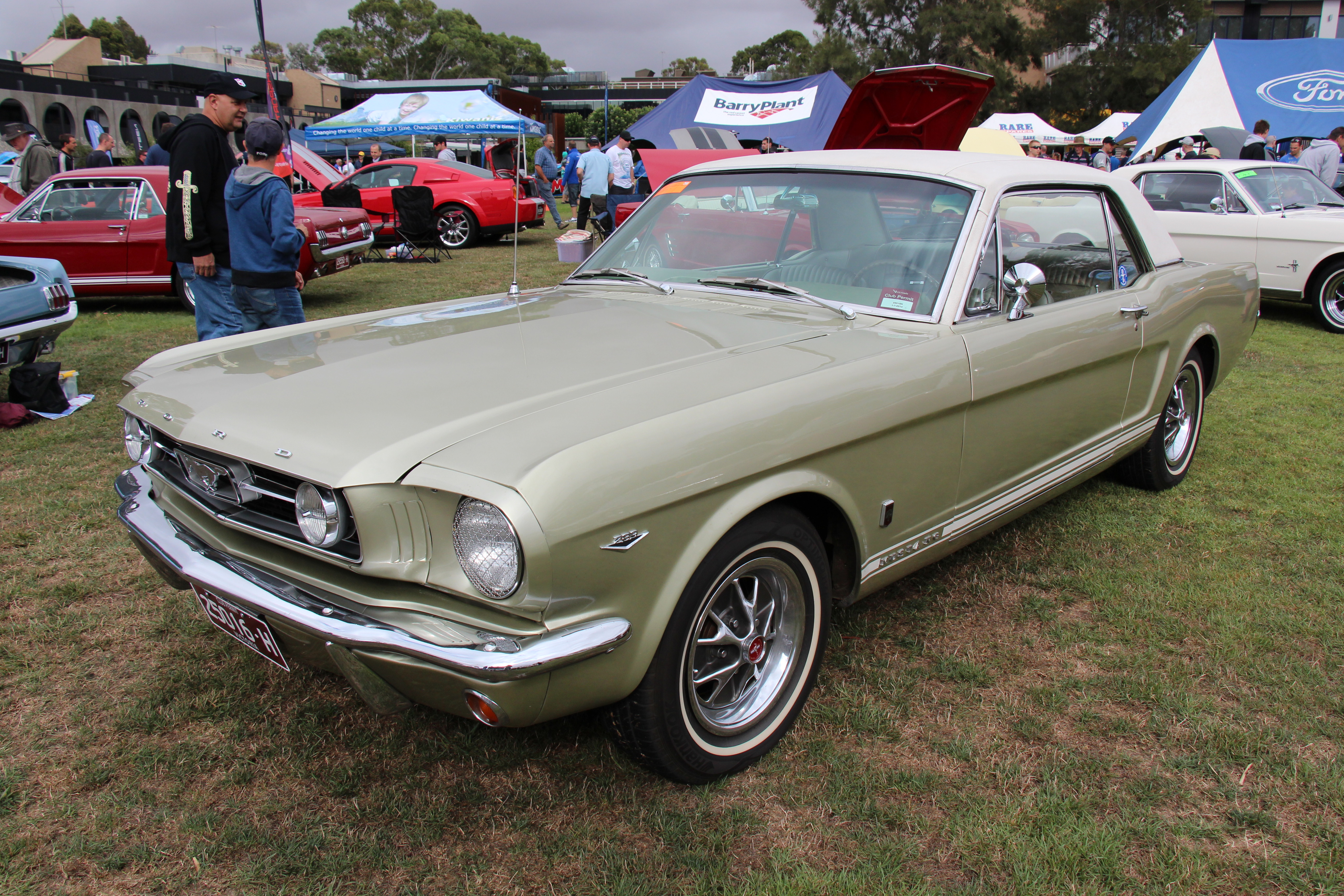 1966 Ford mustang gt hardtop #4