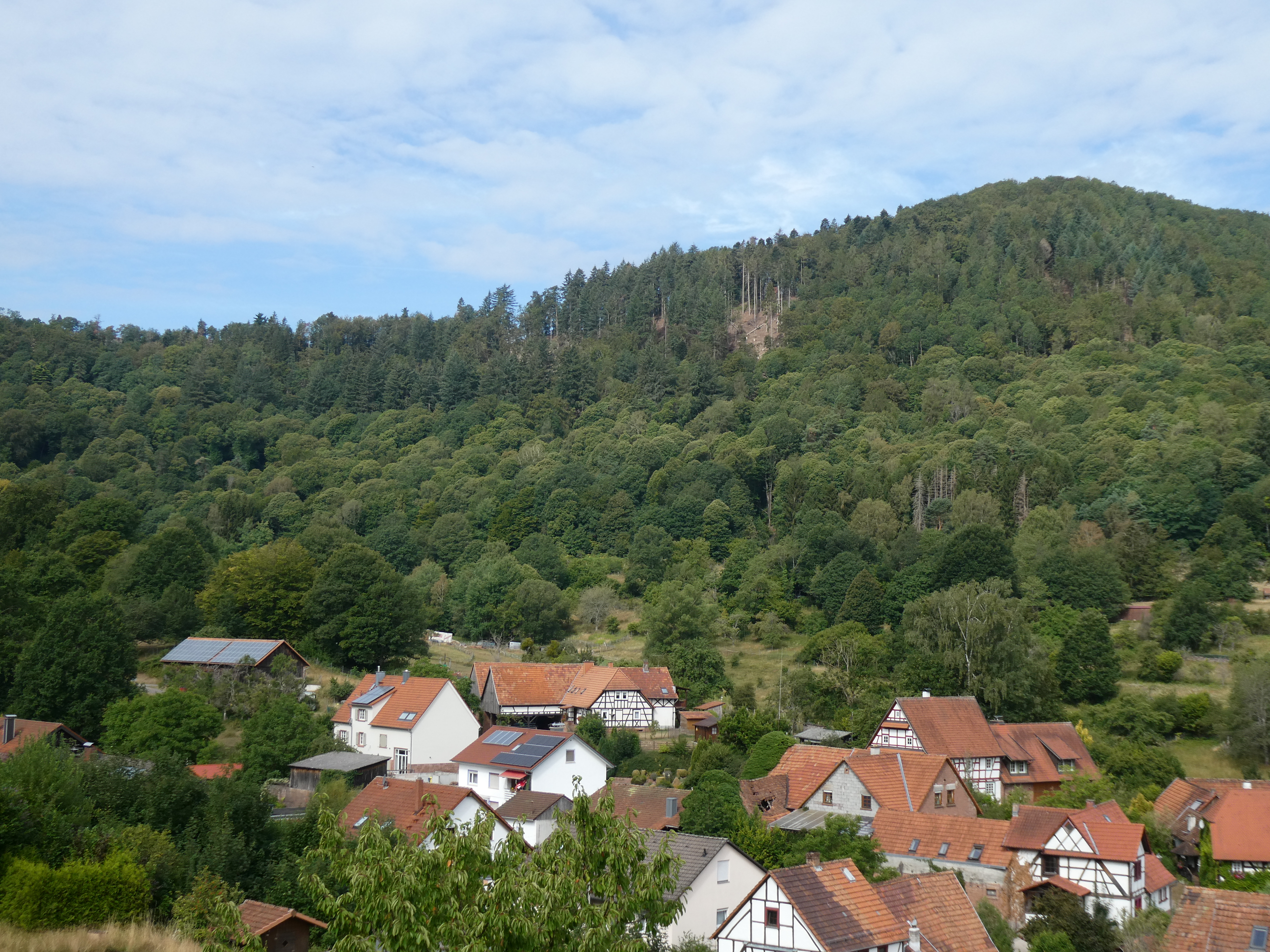 Naturschutzgebiet Zeppelinhalde bei Nothweiler unterhalb des Kuhnenkopfs