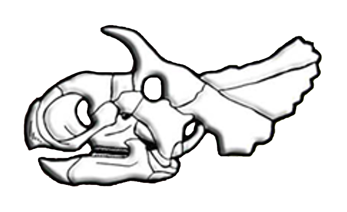 File:Avaceratops skull diagram.png