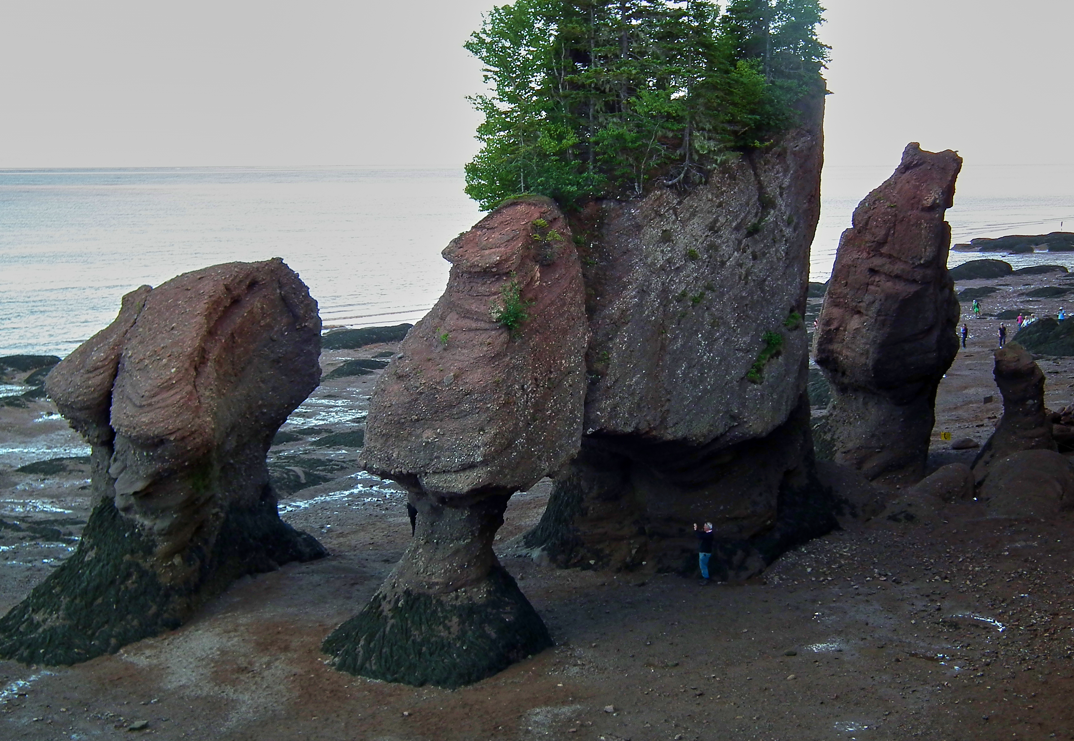 File:Bay of Fundy - Tide In.jpg - Wikimedia Commons