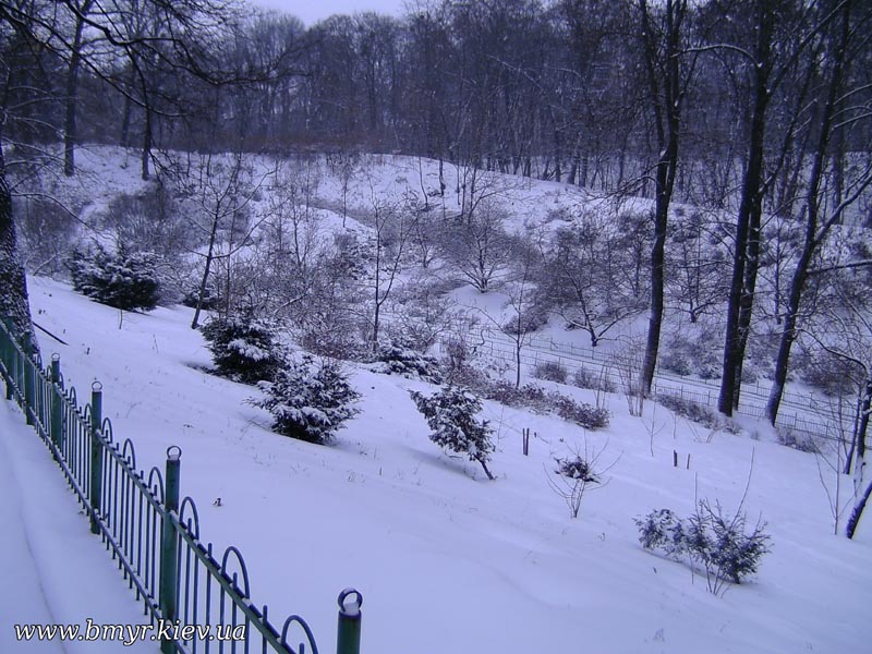 File:Botanic Garden in winter - panoramio - eugeneloza.jpg