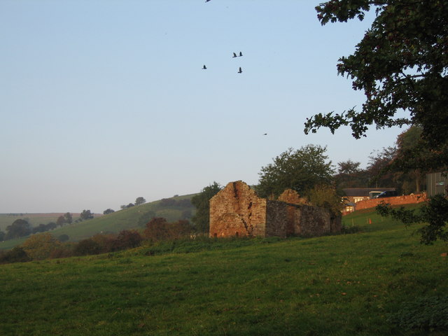 File:Bracken Riggs - geograph.org.uk - 261763.jpg