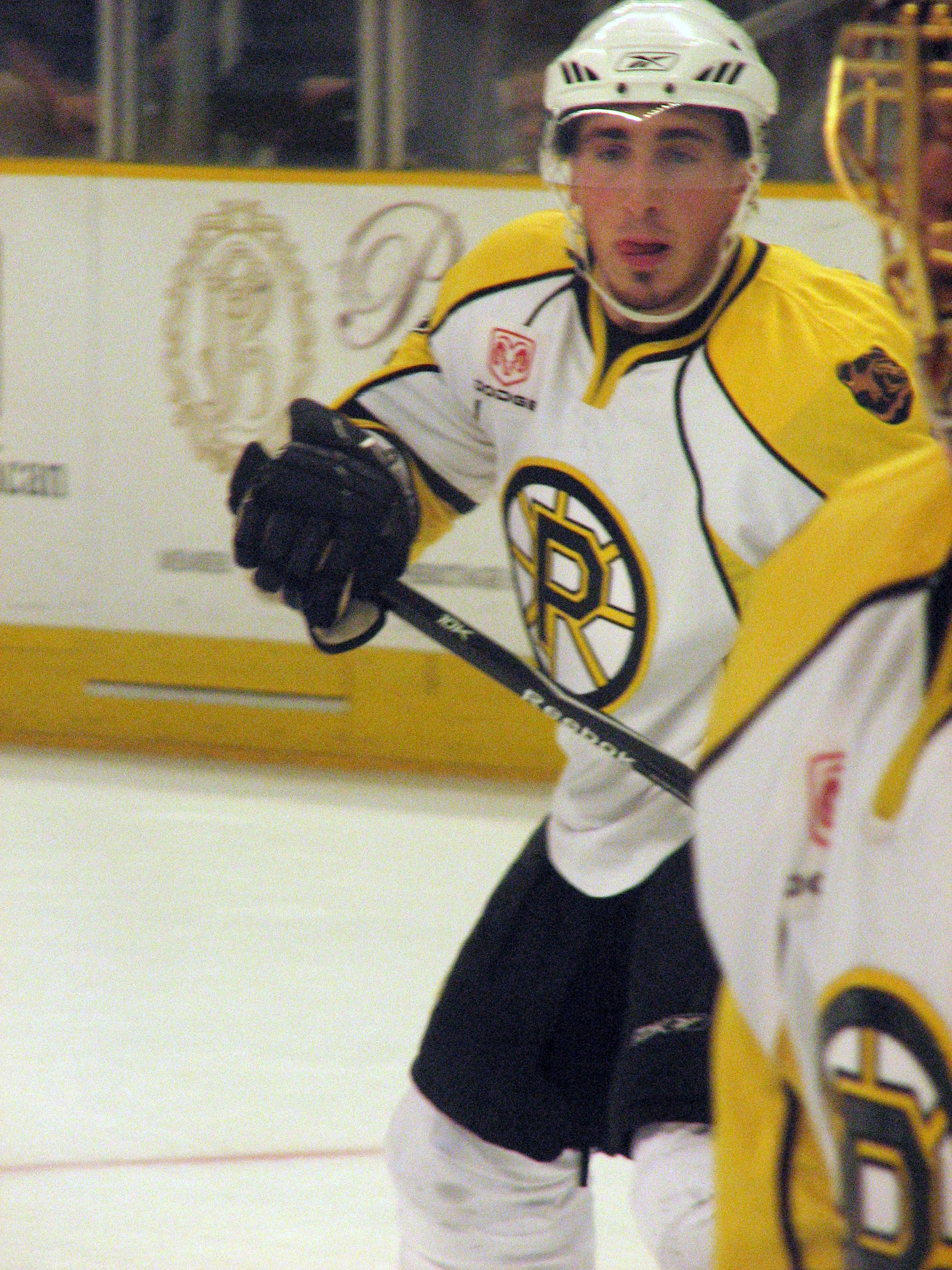 Providence Bruins - Wikipedia