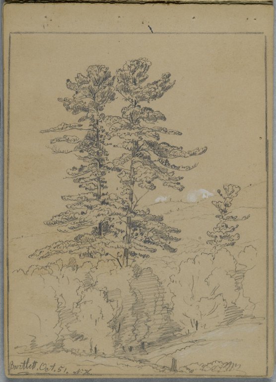 https://upload.wikimedia.org/wikipedia/commons/0/09/Brooklyn_Museum_-_Sketchbook_Conway_New_Hampshire_-_David_Johnson.jpg